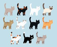 Collection of hand drawn cats with different colors. Cats with different color patterns of fur. illustration vector