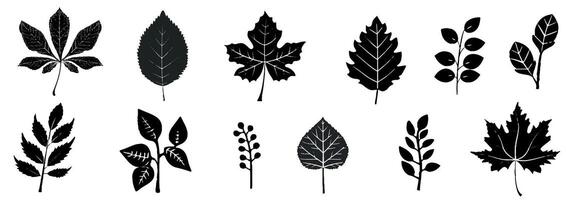 Doodle ink autumn foliage sketch set, leaf brushstroke collection, hand drawn organic icon kit. Abstract naive botanical outline modern autumn decoration design element. Doodle foliage texture vector