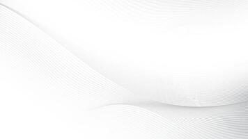 Abstract white and gray color, modern design stripes background with curve lines, wavy pattern. illustration. vector