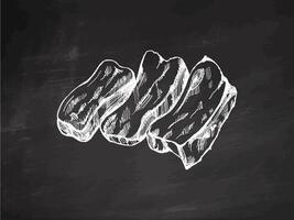 Hand-drawn monochrome sketch of barbecue ribs. Doodle vintage illustration. Decorations for the menu of cafes and labels. Engraved image on chalkboard background. vector