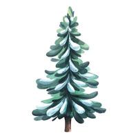 Green Christmas tree with snow. Watercolor illustration. An isolated object from a large set of COZY WINTER. For decoration, design, compositions and decor of New Year and Christmas. vector