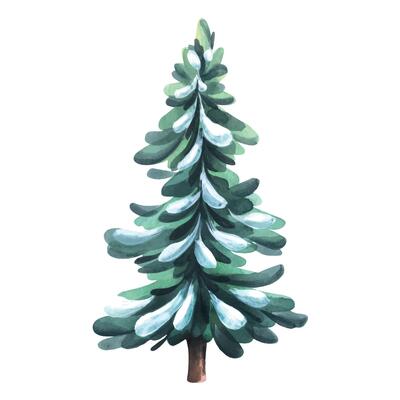 Green Christmas tree with snow. Watercolor illustration. An isolated object from a large set of COZY WINTER. For decoration, design, compositions and decor of New Year and Christmas.