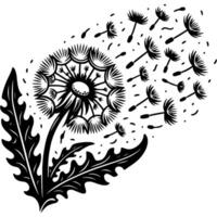Dandelion seeds blown by wind in monochrome. Wind blows on fluffy dandelion inflorescence. Simple minimalistic in black ink drawing on white background vector