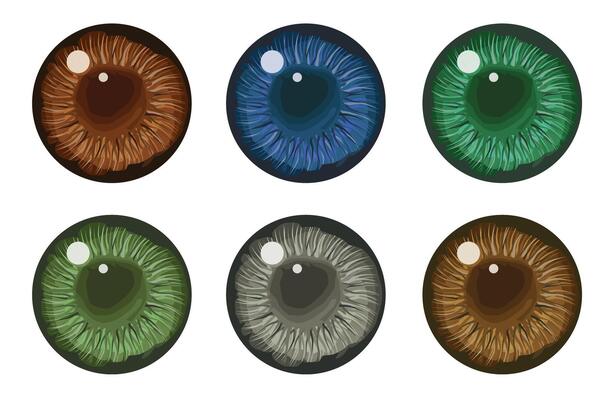 The pupil of the human eye. Eyes are blue, green and brown and gray. Illustration, .