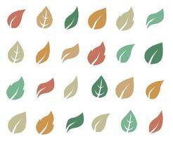 Autumn leaves set isolated on white background. Simple cartoon, flat style. illustration. vector