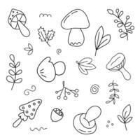Doodle set of mushrooms and leaves. vector