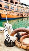 Symbol of Safety, Large Old Ship Moored at Dock with Mooring Knot, Close-Up. photo