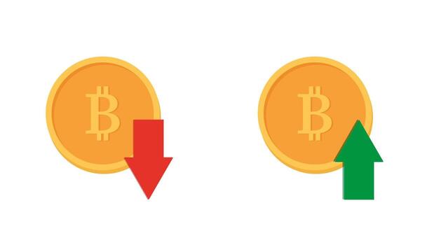 Bitcoin icon - up or down. Bitcoin up symbol vector
