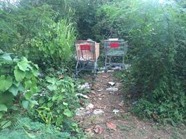 Shopping Carts Left in Wooded Area of Puerto Rico photo