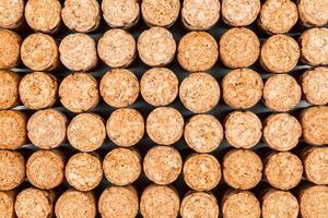 Background from textured wine corks, top view. place for text photo