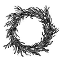 Decorative Botanical wreath ,round frame vector