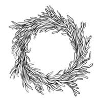 Botanical wreath in ink style,round frame vector