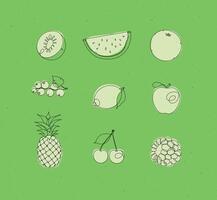 Fruits icons kiwi, watermelon, orange, currant, lemon, apple, pineapple, cherry raspberries drawing in linear style on green background vector