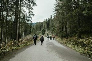 Autumn hike group of tourists on vacation, having a hike in autumn mountains with backpack and hiking sticks, enjoying adventure. Teamwork travel. photo