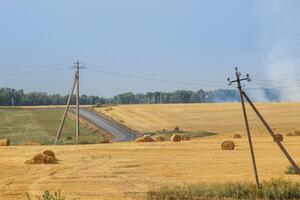Haystacks in summer field harvesting background. Mid-simmer and autumn rural scene with hay bales and sky. . High quality photo