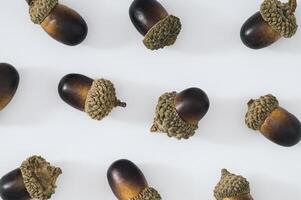 Autumn or fall scene background with acorns or oak nuts on white background. Minimal nature seasonal concept. Creative trendy pattern background idea. Flat lay composition. Autumn aesthetic. photo