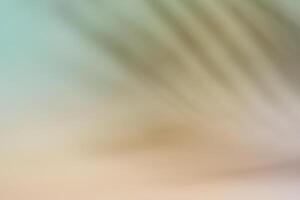 Natural palm leaves shadow on gradient paper background. Abstract peach and blue tropical backdrop. Soft light photo