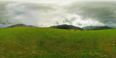 360 by 180 degrees spherical panorama of a cows grazing on green grass in mountainous natural landscape with cloudy sky photo