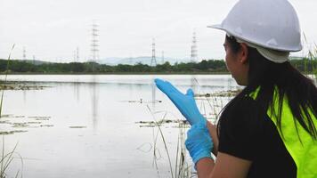 Environmental engineers analyze water quality and creature from natural source. Biologists taking samples of water and algae samples. Ecology field research. video