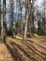Panoramic view of the alleys in the Gorki Leninskiye Museum-Reserve in autumn photo