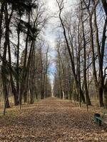 Panoramic view of the alleys in the Gorki Leninskiye Museum-Reserve in autumn photo