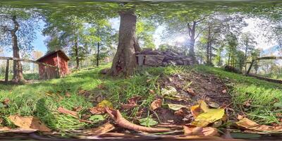 Fenced Green Garden with Rocks and Tree, Low Angle, Panoramic 360 VR photo