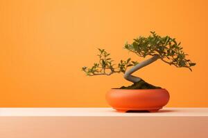 Miniature bonsai tree in a ceramic pot on a background with a copy space. photo