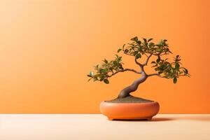 Miniature bonsai tree in a ceramic pot on a background with a copy space. photo