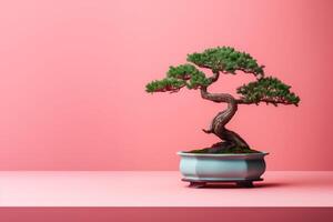 Miniature bonsai tree in a ceramic pot on a background with a copy space. photo