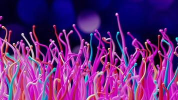Abstract background of glowing multicolor spline life forms on dark background. 3D Animation video