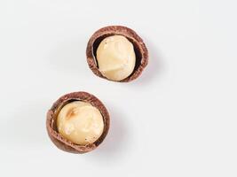 two macadamia nuts with open shells isolated photo