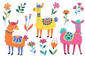Set with funny lamas and flowers. Decorative colorful illustration in flat style. Great for creating greeting cards, posters vector