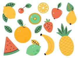 bright set with juicy summer fruits on a white background vector