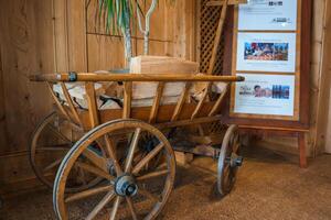 Vintage wooden cart with firewood on brown carpet indoors, hints of spa and mountain view in background, possible French speaking area resort or lodge lobby aesthetic. photo