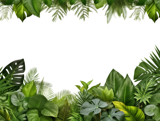 Leaves PNGs for Free Download