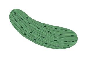 Green cucumber with pimples and texture. Stylized vegetable. Isolated illustration for your design vector