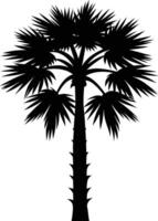 Palmetto tree silhouette on white background vector
