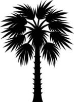 Palmetto tree silhouette on white background vector