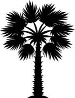 Palmetto tree silhouette on white background vector