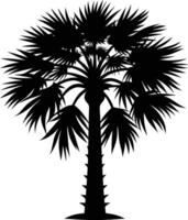 Palmetto tree silhouette on white background vector
