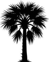 Palmetto tree silhouette on white background vector