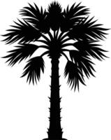 Palmetto tree silhouette on white background vector