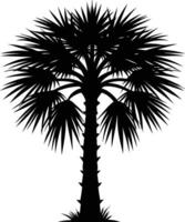 Palmetto tree silhouette on white background vector