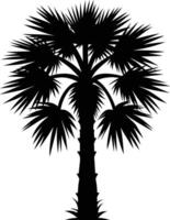 Palmetto tree silhouette on white background vector