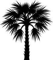 Palmetto tree silhouette on white background vector