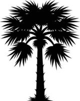 Palmetto tree silhouette on white background vector