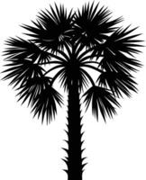 Palmetto tree silhouette on white background vector