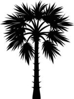 Palmetto tree silhouette on white background vector
