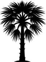 Palmetto tree silhouette on white background vector