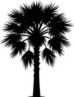 Palmetto tree silhouette on white background vector